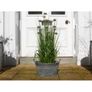 Planter D9827 Image 2