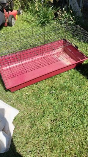 Cage for Rabbit or Guinea Pig