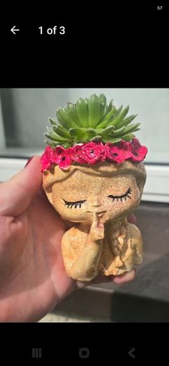 otdoor plant