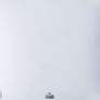 Bar Italia - Tracey Denim (LP, Album) Image 2
