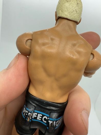 wwe Dolph Ziggler action figure
