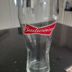 budweiser x 24 new never used
