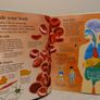 USBORNE First encyclopedia of the human body Image 5