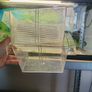120L fish tank Image 5