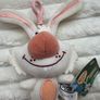 Nature Cat Daisy Rabbit Plush Dirty Keychain TOMY Please look at the pictures Image 4
