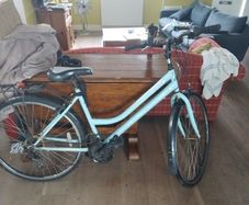 ladies bicycle