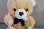 Graduation Teddy Bear Soft Toy Plush