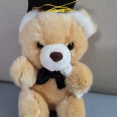 Graduation Teddy Bear Soft Toy Plush