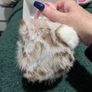 Fur ear muff's Image 6