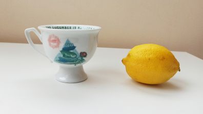 Hendrick's Gin teacup "The cucumber is nature's telescope. With it, we see the universe" piece of official limited edition