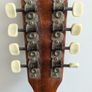 eko electric mandolin Image 4