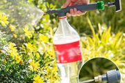 Gardening Watering Sprayer Beverage Bottle Watering Can High Pressure Small Manual Pressure Adjustable Spray Head