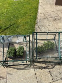 Mini Greenhouse with steel frame x 2