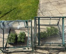 Mini Greenhouse with steel frame x 2