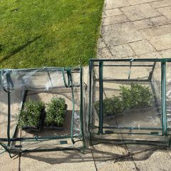 Mini Greenhouse with steel frame x 2