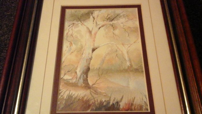 "Flinders reflections" by Joan Hancock.