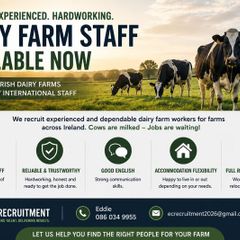Experiened Dairy Farm Assistants Available