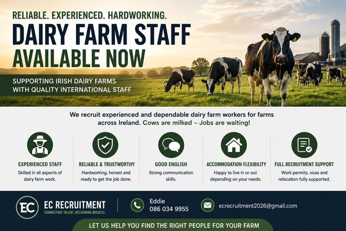 Experiened Dairy Farm Assistants Available