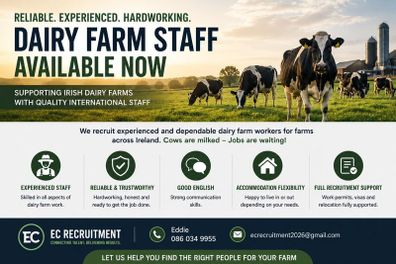 Experiened Dairy Farm Assistants Available