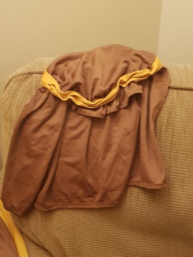 Halloween costume