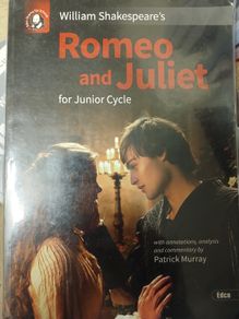 Romeo and Juliet Book