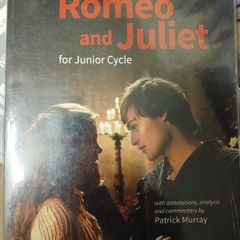 Romeo and Juliet Book