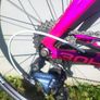 Pinarello carbon Image 7
