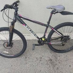 Mountain bike