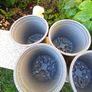 11x plastic plant pot Image 3