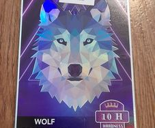Wolf Protection Tempered Glass Screen Protector for Samsung Galaxy A21S (Brand New)