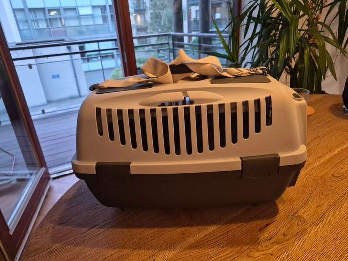 Pet kennel (hard shell)