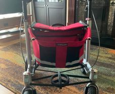 Trionic Walker