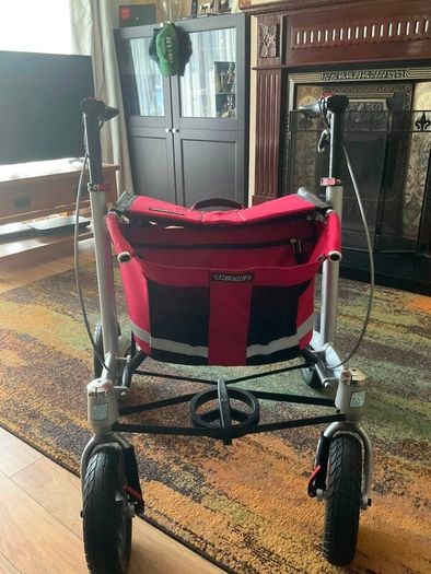 Trionic Walker