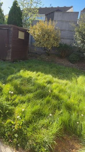 gardening and Landscaping services