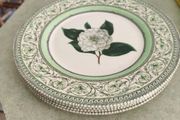 Set of 4 Royal Horticultural Society 11 inches  Dinner Plate Discontinued China Pattern Applebee Collection English China Green/White Excellent Condition