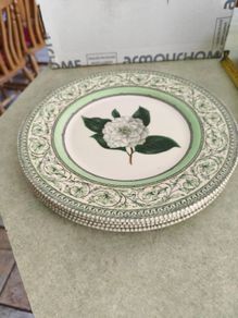 Set of 4 Royal Horticultural Society 11 inches  Dinner Plate Discontinued China Pattern Applebee Collection English China Green/White Excellent Condition
