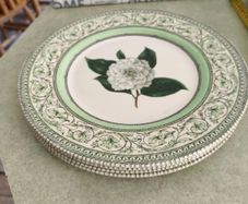Set of 4 Royal Horticultural Society 11 inches  Dinner Plate Discontinued China Pattern Applebee Collection English China Green/White Excellent Condition