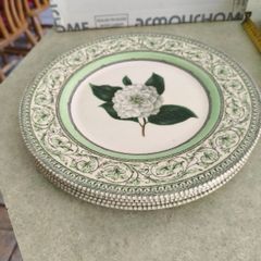 Set of 4 Royal Horticultural Society 11 inches  Dinner Plate Discontinued China Pattern Applebee Collection English China Green/White Excellent Condition