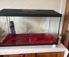 Fish Tank