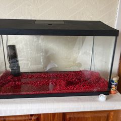 Fish Tank