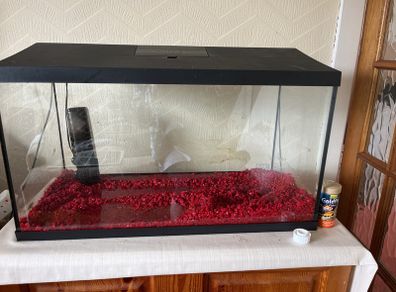 Fish Tank