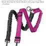 dual leash Image 2