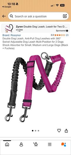 dual leash