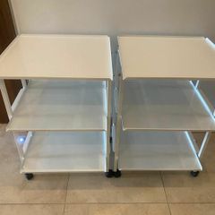 Carlton Professional beauty trolleys