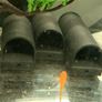 Pleco Caves Image 2