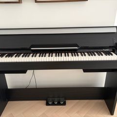 Thomann DP 33 Digital Piano in Great Condition
