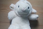 Sheep Teddy