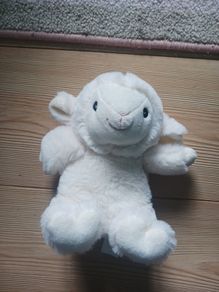 Sheep Teddy