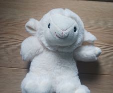 Sheep Teddy