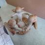 Little angels candle holder. Image 2